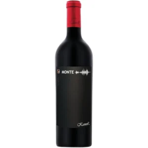 Chateau Kamnik Montepulciano