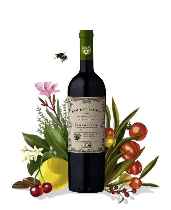 Doppio Passo Primitivo Bio pakiet 6 szt - obrazek 2