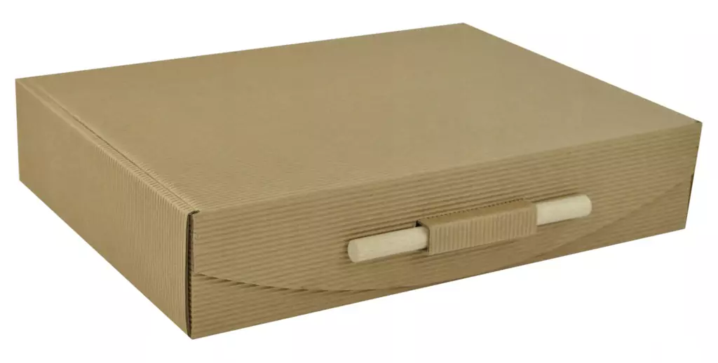 pudełko z tektury falistej eko ze skobelkiem na 2 but
