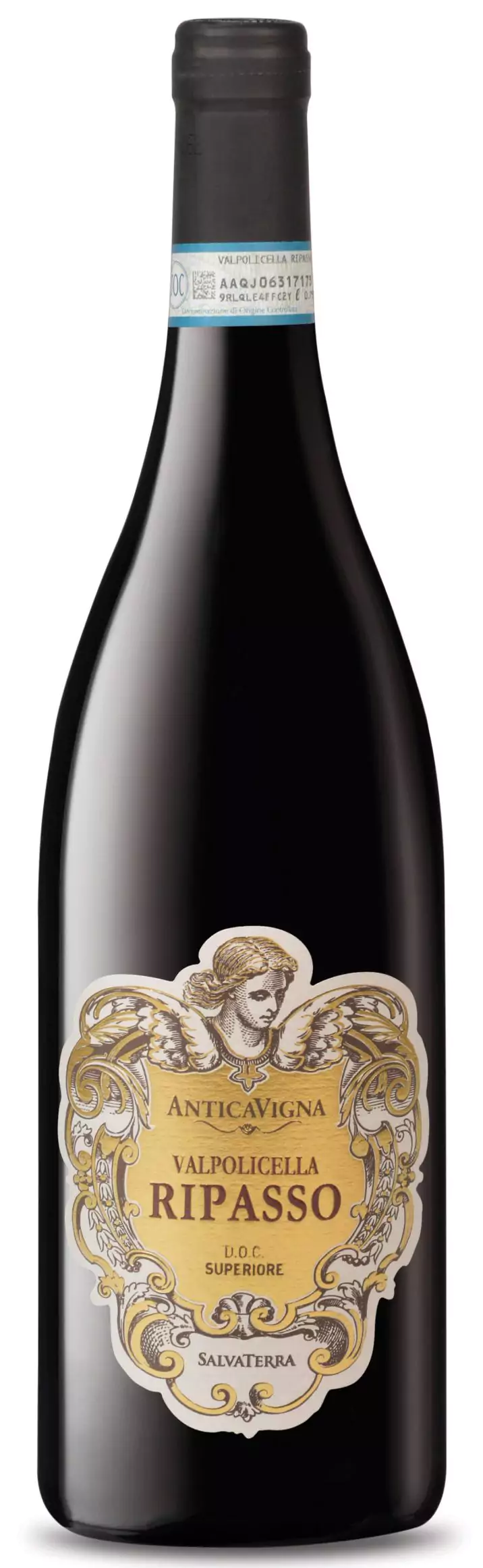 Antica Vigna Valpolicella Ripasso