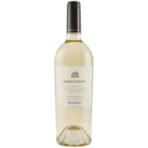 Pecorino Terra D'Aligi Bianco